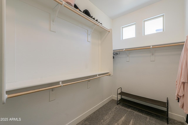 21595 S 225th Way, Queen Creek, AZ 85142 - spacious closet featuring dark colored carpet