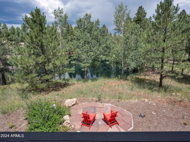 view of yard with a patio area