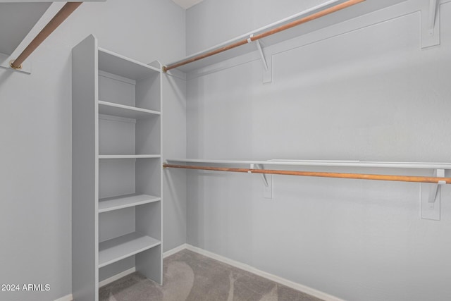 spacious closet featuring light carpet