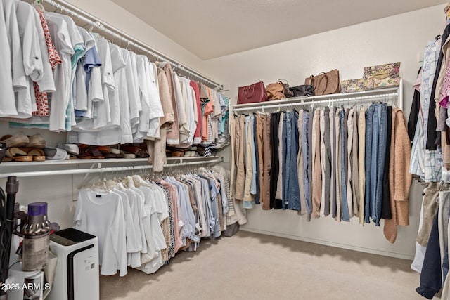 spacious closet with carpet flooring
