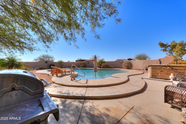 view of pool with a patio area and a grill