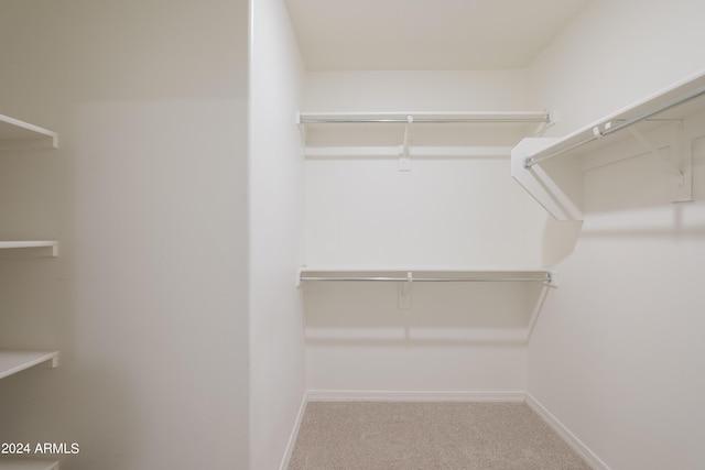 walk in closet featuring carpet flooring