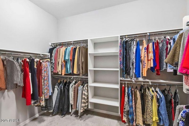 spacious closet with carpet floors