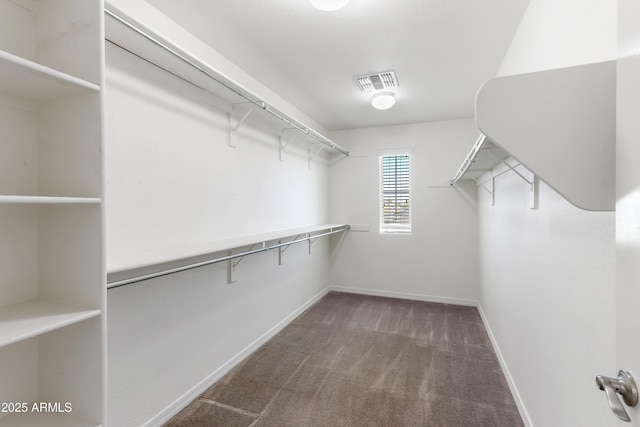 walk in closet with visible vents and carpet