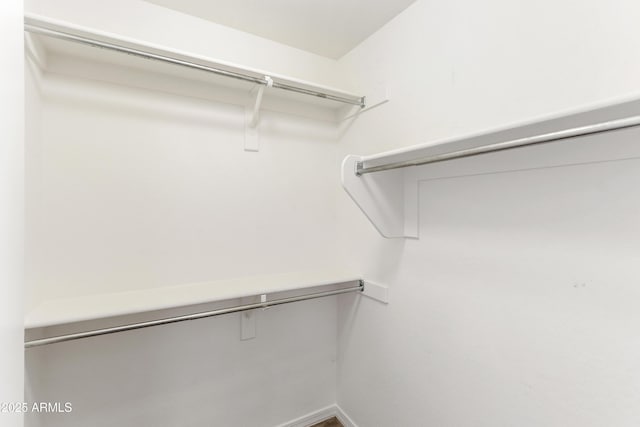 view of spacious closet