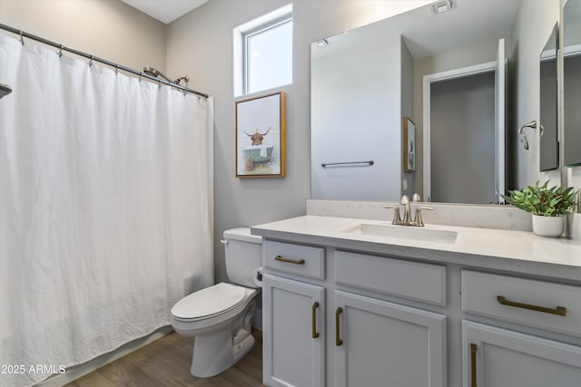 5430 W Notch Hill Rd, Laveen, AZ 85339 - bathroom featuring wood finished floors, toilet, vanity, and a shower with shower curtain