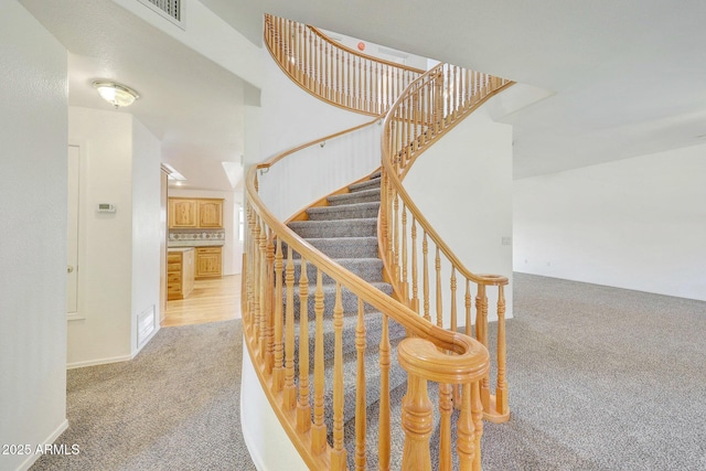 stairs featuring carpet floors