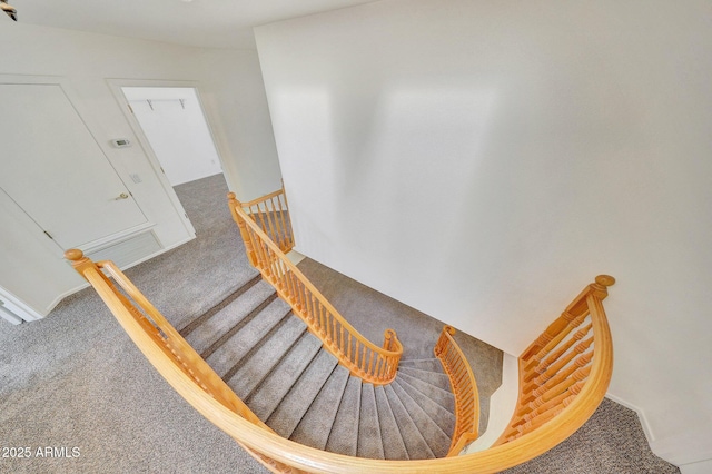 stairway with carpet floors