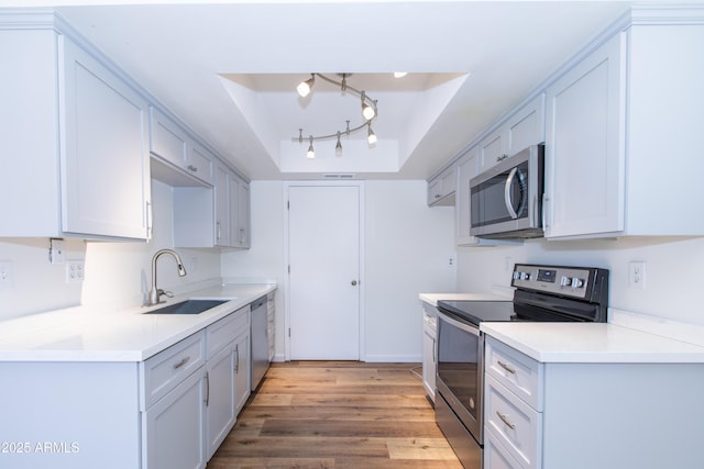 222 W Brown Rd Unit 72, Mesa, AZ 85201 - kitchen featuring stainless steel appliances, a sink, a tray ceiling, light wood-type flooring, and light countertops