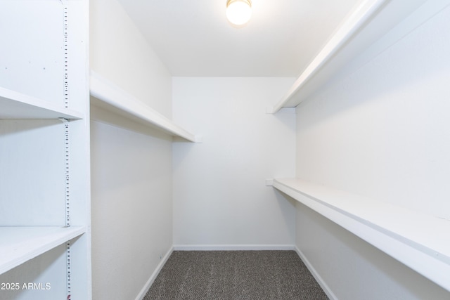 222 W Brown Rd Unit 72, Mesa, AZ 85201 - walk in closet with carpet floors
