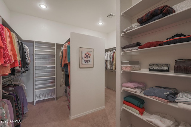 walk in closet featuring carpet and visible vents