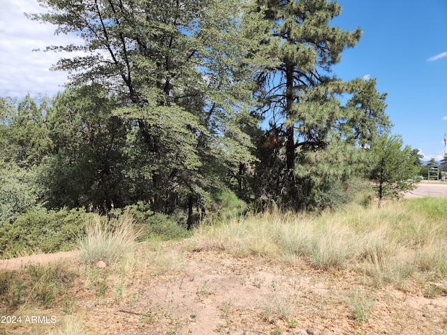 910 N Beeline Hwy Unit 89, Payson AZ, 85541 land for sale