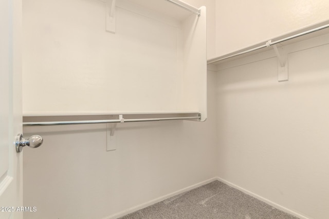12109 W Tether Trl, Peoria, AZ 85383 - spacious closet with carpet floors