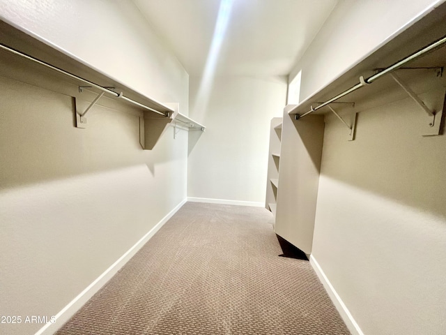 walk in closet featuring light carpet