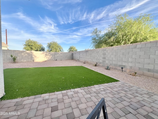 view of yard with a patio and a fenced backyard