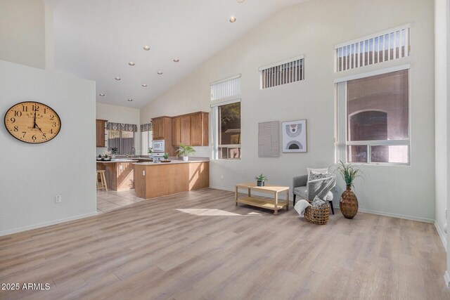 empty room featuring high vaulted ceiling, light hardwood / wood-style floors, and a healthy amount of sunlight