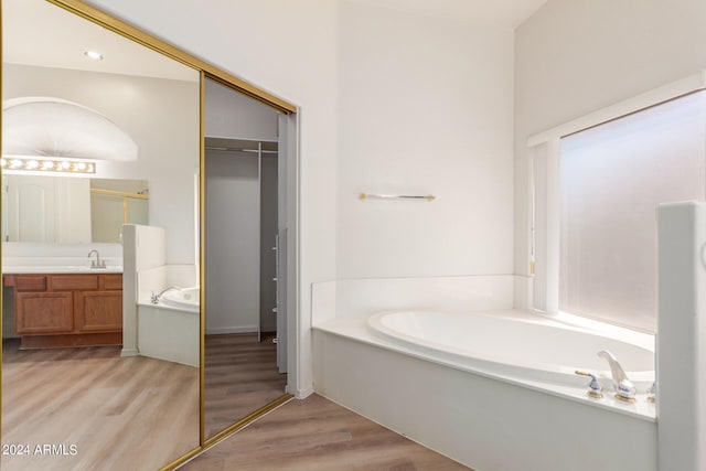 bathroom featuring wood-type flooring, a bath, and vanity