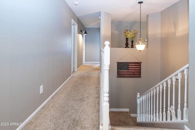 hall featuring carpet floors