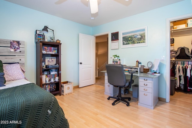 bedroom with light hardwood / wood-style flooring, a walk in closet, a closet, and ceiling fan