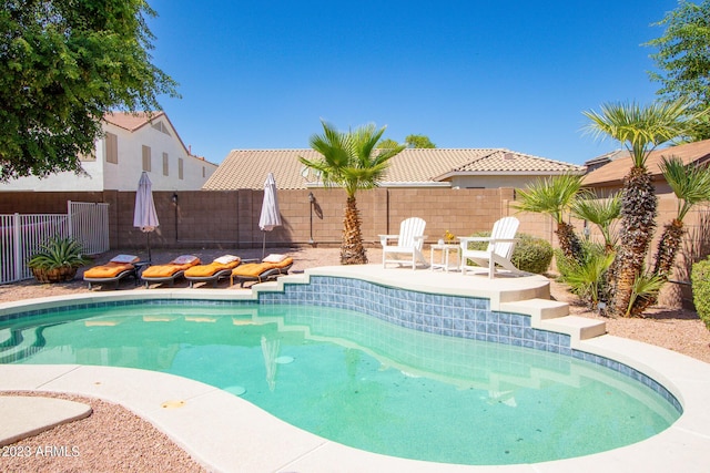 view of pool with a patio area