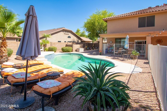 view of swimming pool featuring a patio area