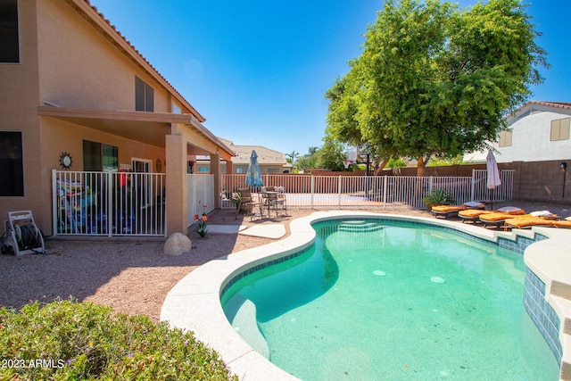 view of pool with a patio