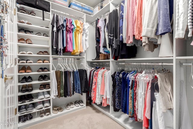spacious closet with carpet floors