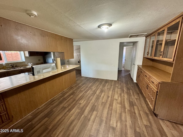 kitchen with dark hardwood / wood-style floors, sink, and a textured ceiling