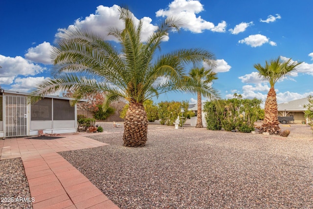 view of yard with a patio and a sunroom