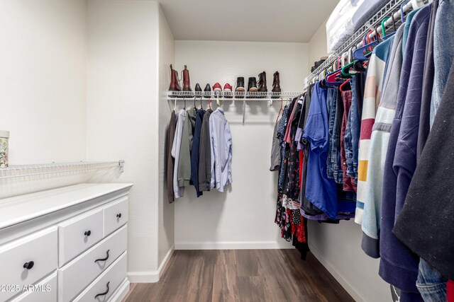 walk in closet featuring wood finished floors