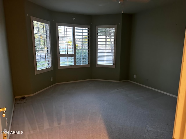 unfurnished room featuring carpet floors