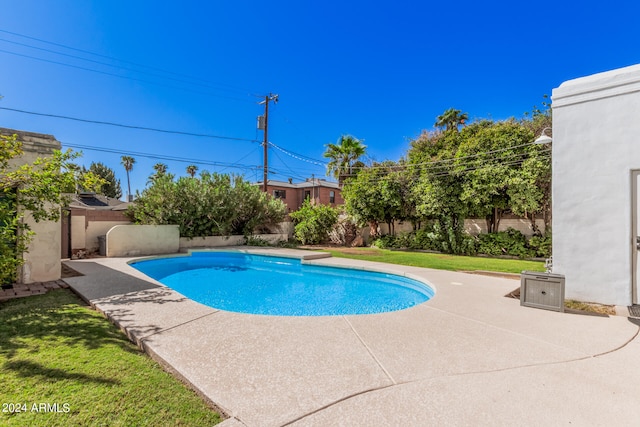 view of swimming pool with a yard and a patio