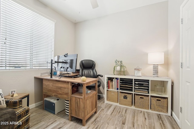 office featuring ceiling fan, baseboards, and wood finished floors