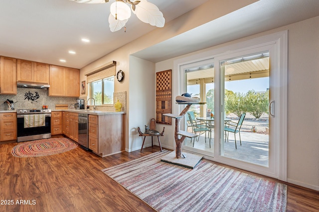 kitchen with tasteful backsplash, sink, dark wood-type flooring, and stainless steel appliances