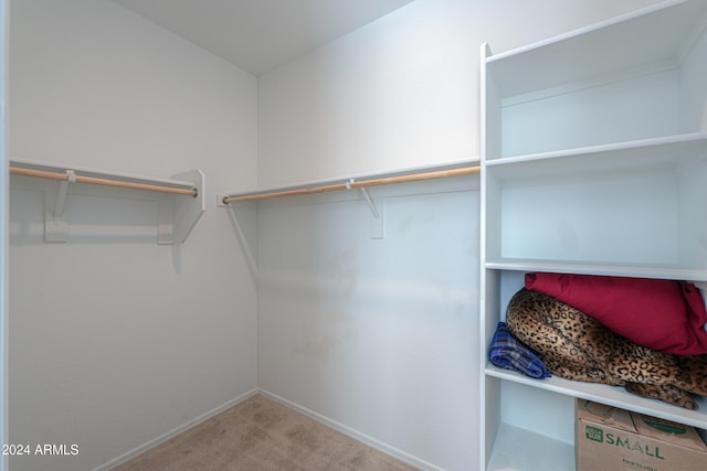 walk in closet featuring carpet floors