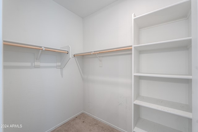 walk in closet featuring carpet flooring