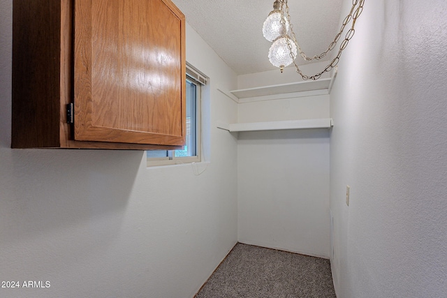 spacious closet with carpet flooring