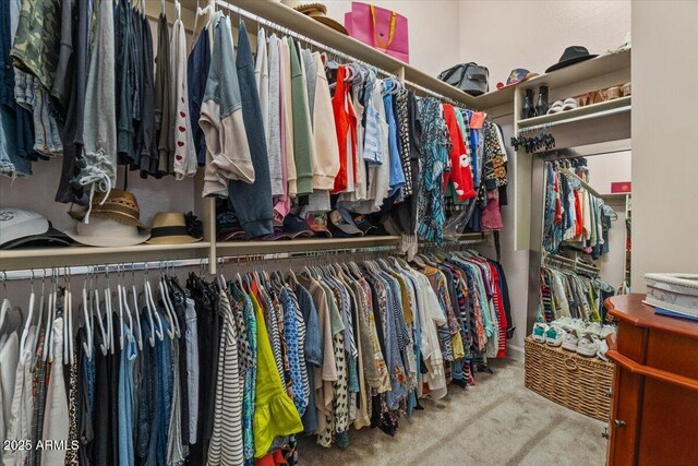 2128 E Clipper Ln, Gilbert, AZ 85234 - spacious closet with carpet