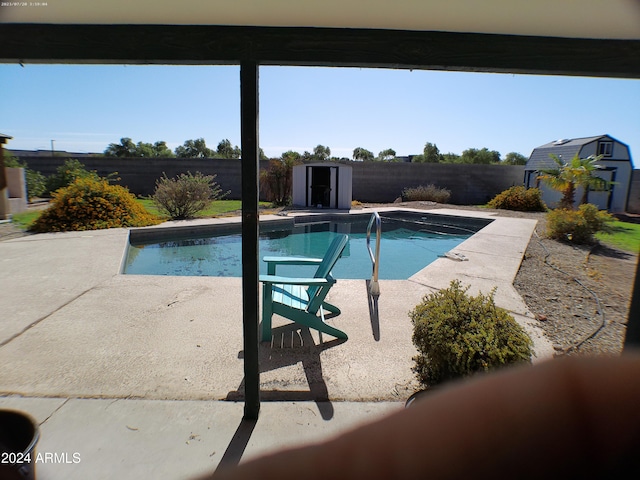 view of swimming pool with a patio area and a storage unit