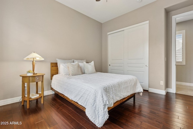 bedroom featuring dark wood-type flooring and a closet