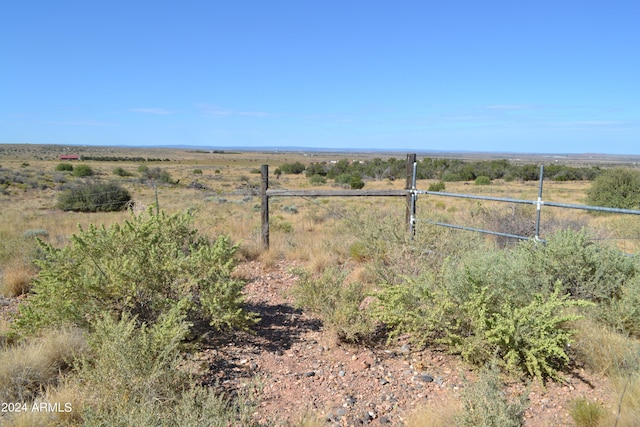 view of yard with a rural view