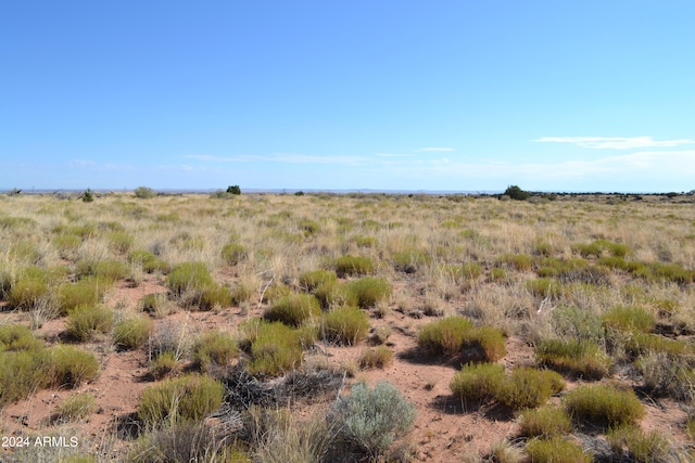 view of local wilderness