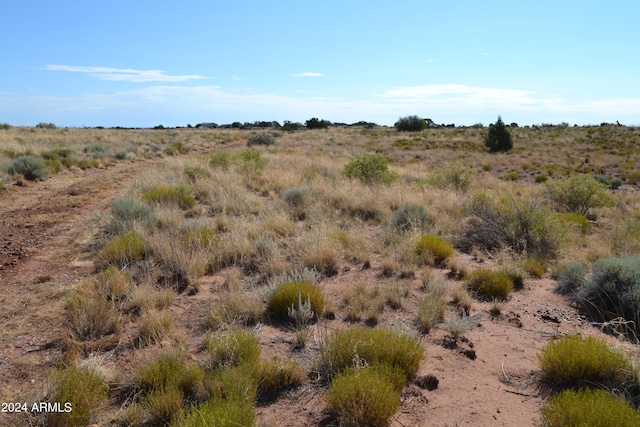 view of nature featuring a rural view