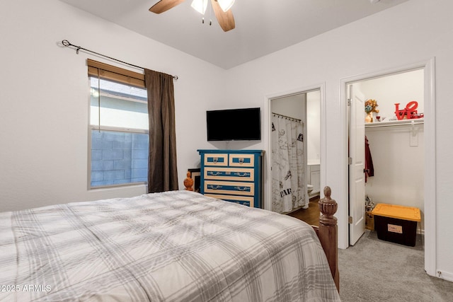 4595 W Foldwing Dr, San Tan Valley, AZ 85144 - bedroom with a closet, carpet, a walk in closet, a ceiling fan, and ensuite bath