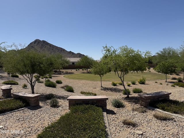 4595 W Foldwing Dr, San Tan Valley, AZ 85144 - view of yard with a mountain view