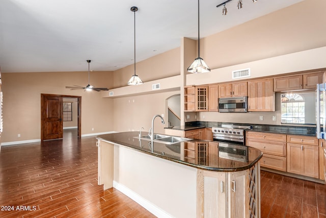 kitchen featuring stainless steel appliances, sink, pendant lighting, and dark hardwood / wood-style flooring