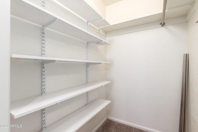 13128 N 104th Pl, Scottsdale, AZ 85260 - walk in closet with carpet flooring