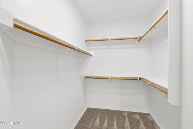 walk in closet featuring carpet floors