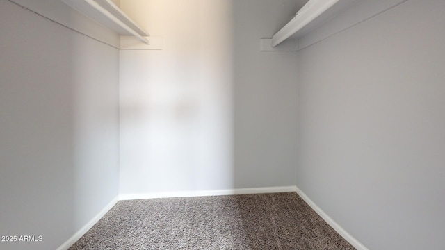 spacious closet featuring carpet floors