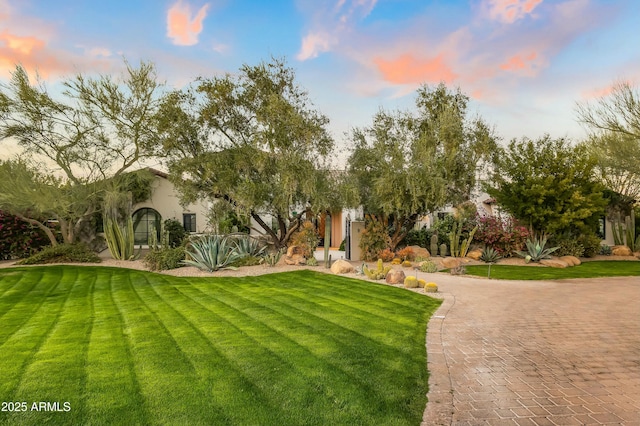 view of front facade featuring decorative driveway, a lawn, and stucco siding